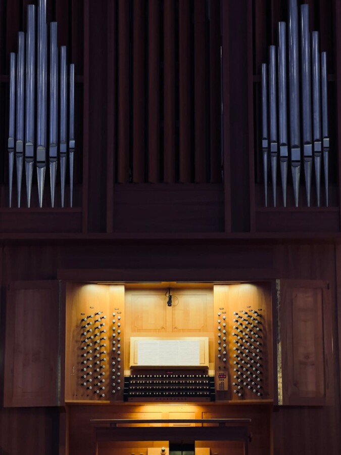 Vertical shot of illuminated organ pipes showcasing musical craftsmanship.
